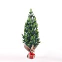 Small 50cm artificial Christmas tree for table with pine cones and fake snow Stoeren. Promotion