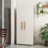 Outdoor Cabinet 3 Adjustable Shelves 80x45x180h Groove Alto Keter Model