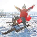 Sport sled for children with handlebars and pedal brakes Comet On Sale