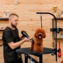 Adjustable swivel electronic round Dog Grooming Table Beagle. On Sale