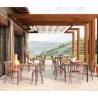 Classic Style Polypropylene Bar and Kitchen Chair for Restaurant, Outdoor Use - Peach Model