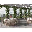 Classic design chair for outdoor restaurant, wedding ceremonies Divina Characteristics
