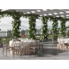 Classic design chair for outdoor restaurant, wedding ceremonies Divina Characteristics
