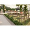 Classic chair for restaurant wedding ceremonies outdoor events Rose Cost