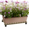 Wooden plant trolley with wheels 70x40cm Videl R On Sale