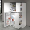 Built-in fridge covers and Fist linear kitchen spice racks 