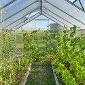 Garden greenhouse aluminum polycarbonate 220x150-220-290x205h Sanus M Bulk Discounts