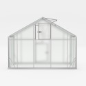 Aluminum polycarbonate garden greenhouse 290x150-220-290x220h Sanus WM Discounts