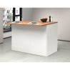Island middle for modern kitchen 2 doors table wood 125x90x90cm Deer 