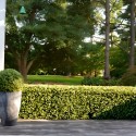 Artificial boxwood hedge for low garden fence 158x33x56cm Robuk On Sale