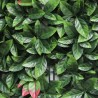 Artificial photinia realistic hedge garden panel 50x50cm Suber Sale