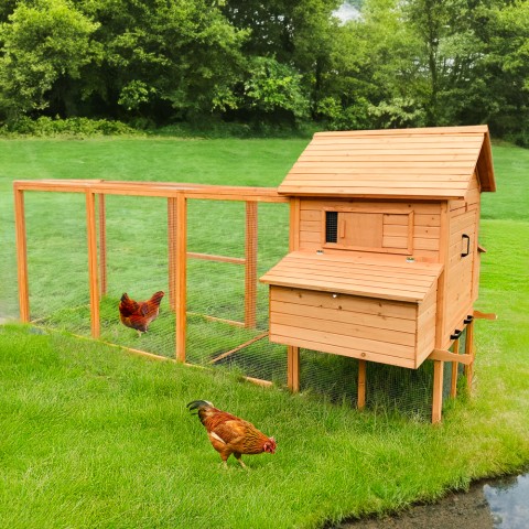 Chicken Coop Hen House Raised in Wood Garden 370x174x172 Hegg Promotion
