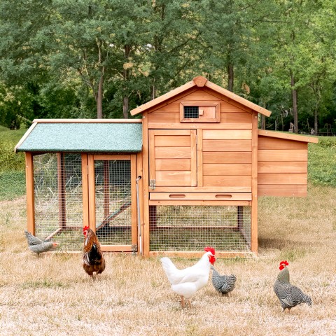 Wooden chicken coop for backyard hens 152x62x92 MarfCHEEKY Promotion