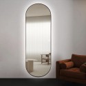Reyk Framed Oval Wall Mirror with Backlight for Living Room, 65x170cm Bulk Discounts