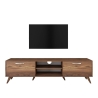 Walnut Color Wooden TV Stand with 2 Drop-Down Doors and 2 Shelves Catalog