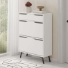 Modern Entryway Shoe Cabinet with 2 Drop-Down Doors and Drawer Tempri On Sale