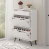 Modern Entryway Shoe Cabinet with 2 Drop-Down Doors and Drawer Tempri Sale