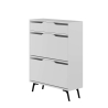 Modern Entryway Shoe Cabinet with 2 Drop-Down Doors and Drawer Tempri Catalog