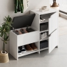 Entryway Shoe Cabinet with Storage Bench and 2 Doors Haven Sale
