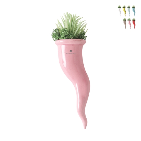 Succulent plant in ceramic horn pot Paola Rolando Partenope Promotion