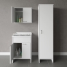 Negrari COMP 6 Laundry Room Set: Wall-Mounted Sink and Storage Column On Sale