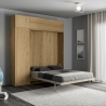 Kentaro Queen Size Murphy Bed 160x190cm with Column and Cabinets Catalog