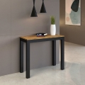 Extendable Dining Table 90x40-196 Everyday Small Evolution Promotion