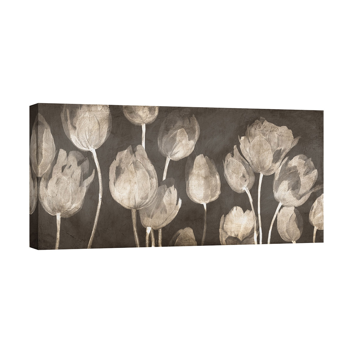 Modern Canvas Print of Tulips "Washed Tulips" by Luca Villa Promotion