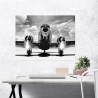 Vintage Black and White Airplane Canvas Print - Airplane Taking Off Sale
