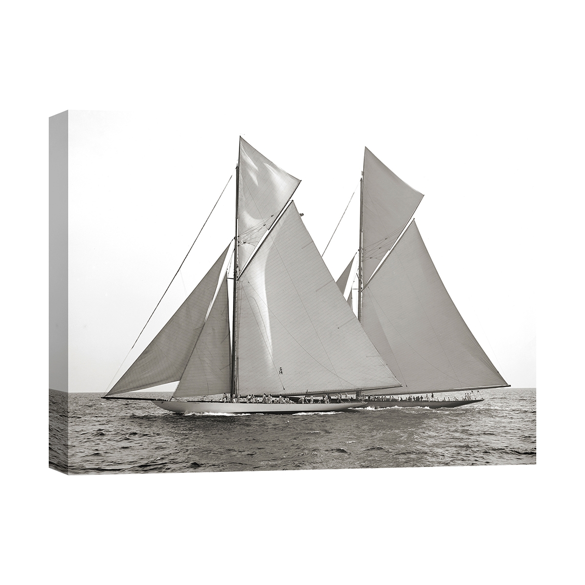 Black and White Canvas Print of Sailboats Columbia & Shamrock 1901 Promotion