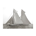 Black and White Canvas Print of Sailboats Columbia & Shamrock 1901 Offers