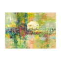 Abstract Modern Canvas Print Full Moon Lucas Offers