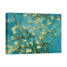 Impasto Canvas Art Impressionism Almond Blossom by Vincent van Gogh Promotion