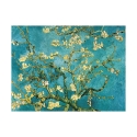 Impasto Canvas Art Impressionism Almond Blossom by Vincent van Gogh Offers