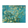 Impasto Canvas Art Impressionism Almond Blossom by Vincent van Gogh Offers
