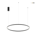 Hoop 120 cm Round LED Aluminum Pendant Chandelier Promotion