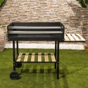 Charcoal Barbecue with Adjustable Height Grates and Wheels Braska Offers