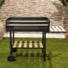 Charcoal Barbecue with Adjustable Height Grates and Wheels Braska Offers