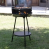 Charcoal Barbecue with Adjustable Round Grill Ø 38cm Grato Offers