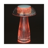 Rechargeable Touch RGB Lamp with Remote Control, 4 Modes Jellyfish Choice Of