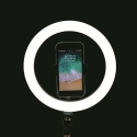 LED Ring Light Selfie Lamp with Smartphone Holder Fira On Sale