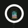 LED Ring Light Selfie Lamp with Smartphone Holder Fira On Sale