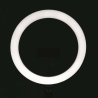 LED Ring Light Selfie Lamp with Smartphone Holder Fira Discounts