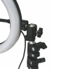 LED Ring Light Selfie Lamp with Smartphone Holder Fira Buy