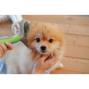 Self-Cleaning Pet Grooming Brush Hair Remover Lima Offers