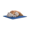 Cooling Mat for Pets 50x70cm Puppy Sale
