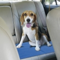Cooling Mat for Pets 50x70cm Puppy Discounts