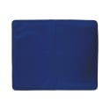 Small Cooling Gel Pet Mat 30x40cm Puppy Offers