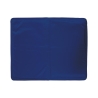 Small Cooling Gel Pet Mat 30x40cm Puppy Offers