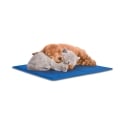 Small Cooling Gel Pet Mat 30x40cm Puppy Sale